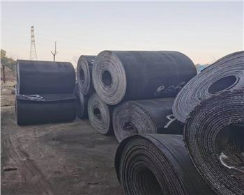 尼龙整芯输送带